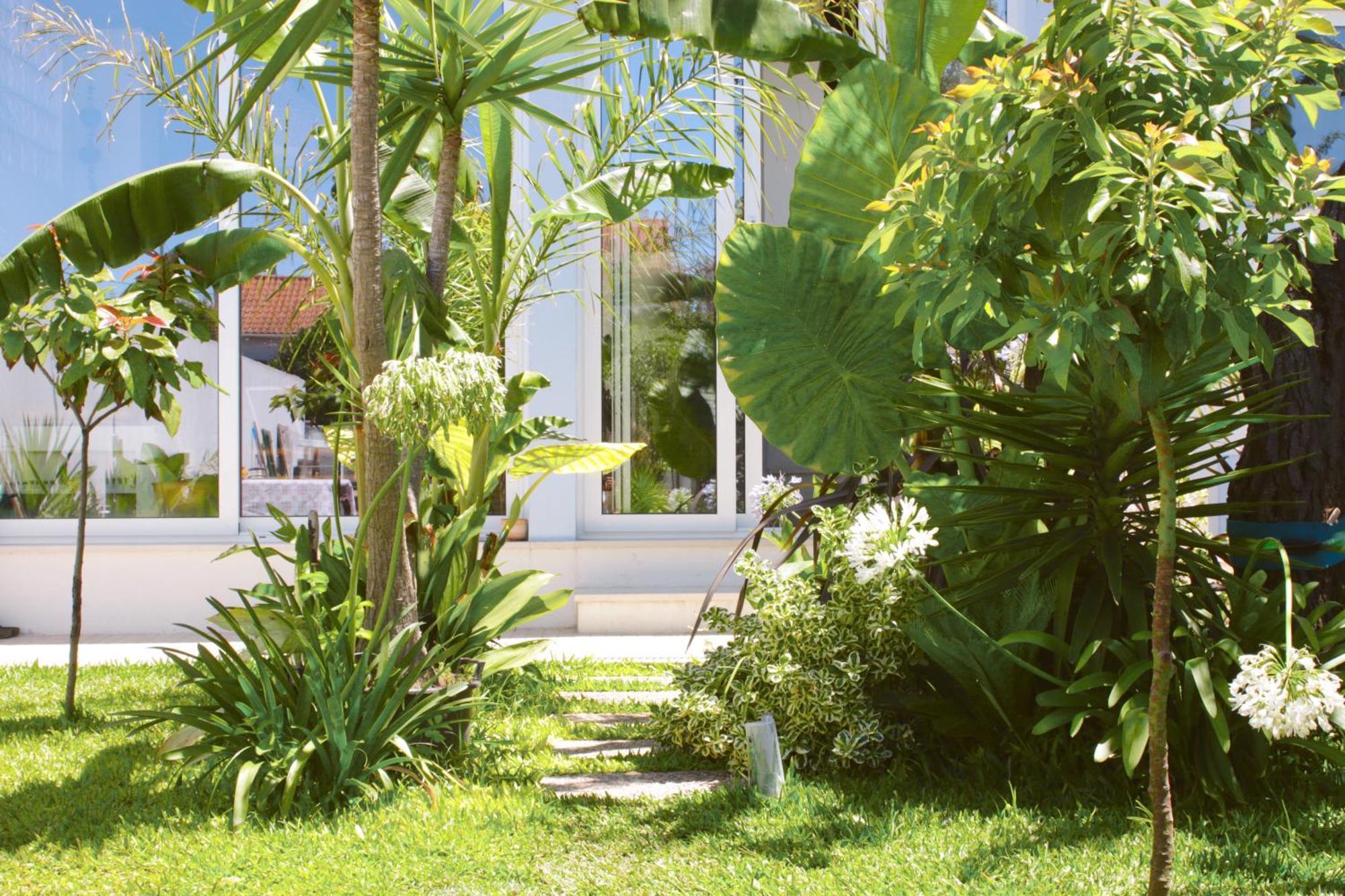 Vila Vale Guest House - Surf & Yoga Charneca de Caparica Exterior foto